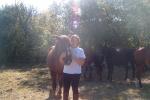 les chevaux que j'aime