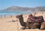 agadir_beach_soleil