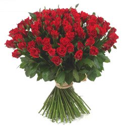 BONS  MOMENTS  DE  LA VIE