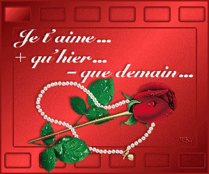 « je t'aime à la folie » par papillon_tarik