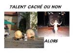 la soiré talent caché ou non