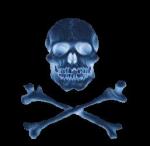 Les Pirates du Web