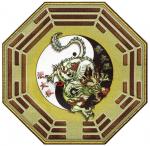 Kung Fu à Castanet