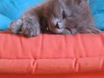 Le Blog de Melinha