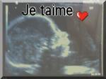 notre petit prince, Nolhan