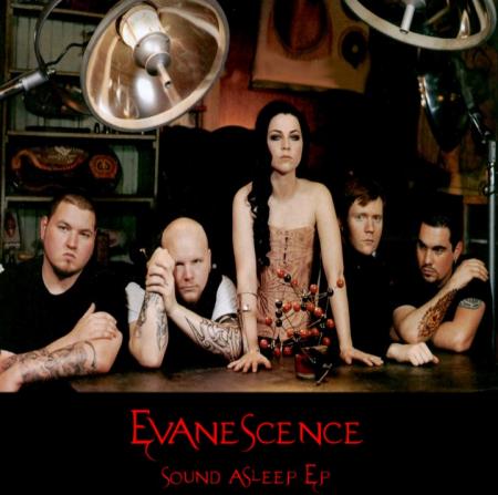 evanescence fotos figure