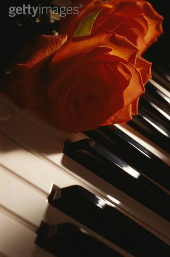 C'est beau comme elle l'aime...