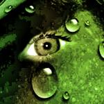 L'ensemble de mes cr�ations