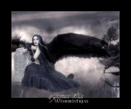 D�sabus�e