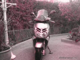 Vido leonardo st 250