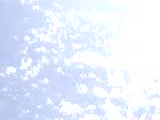 Vido la baleine blanche qui vole