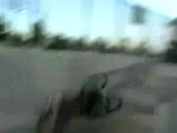 Vid�o handisport extreme