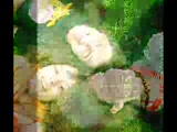 Vidéo TITE VIDEO MONTAGE