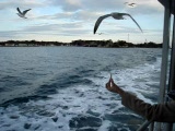 Vid�o A matsushima
