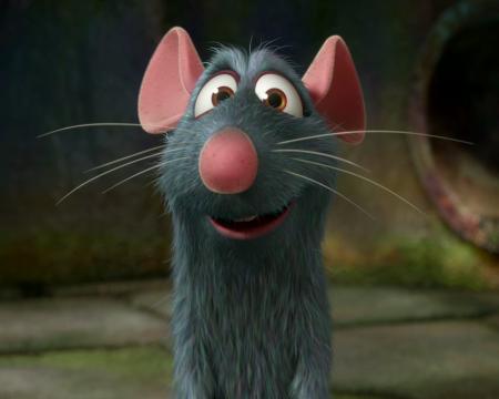 ratatouille
