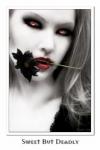 Pas d\'importance
