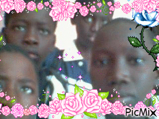 les amis 