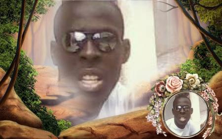 cheikh zal