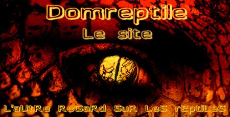 DOMREPTILE