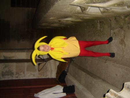 le fou