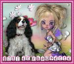 CHOUPETTE PETIT CAVALIER KING CHARLES
