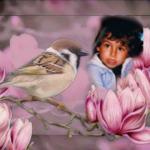 En m�moire de  notre fils St�phane