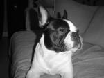 ROKO