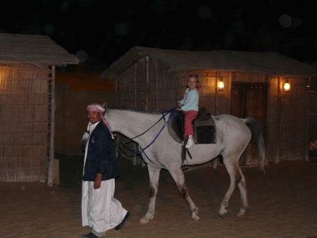bab al shams