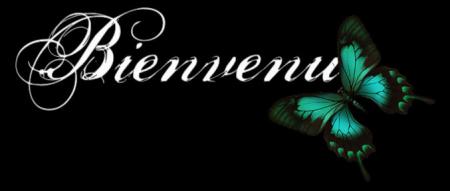 welcom in my blog