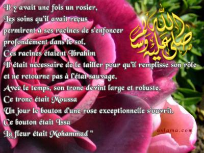 L'histoire des prophetes