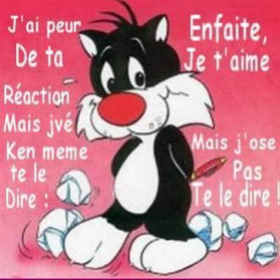 LE TIMIDE