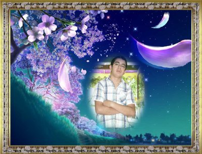 walid