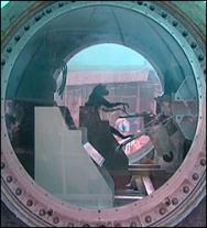 Monkey to be sent to Mars