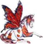 les poneys et moi