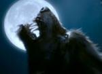guilde WereWolf
