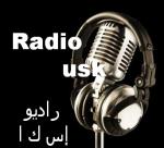 RadioUsk