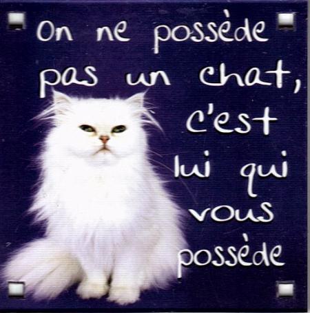 Coucou