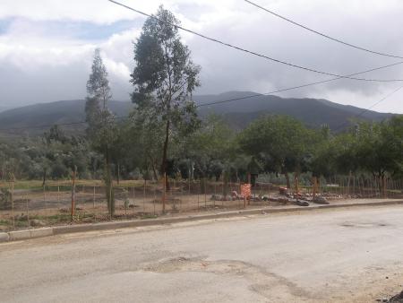 jardat mardoukh 