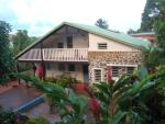 artiste fort de france martinique