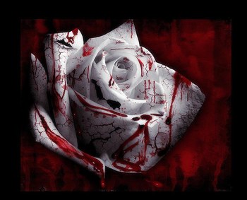 La Fleur de Sang