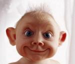 EST CE BIEN RIVALIS ?