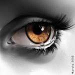 Mon blog