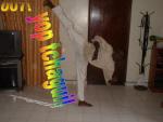 thiamibou2002
