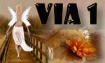 VIA 1