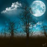 Philosophie, amour, nature, wicca