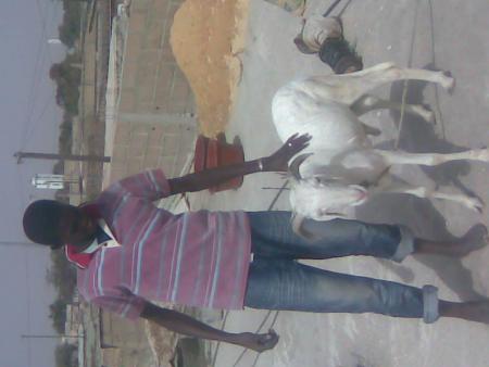moussa te mon mouton