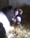 Ma vie, la mienne