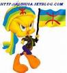 Redy Amazigh