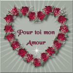 amour