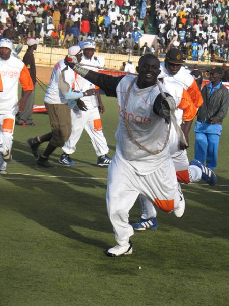 LE LION DE GUEDIAWAYE